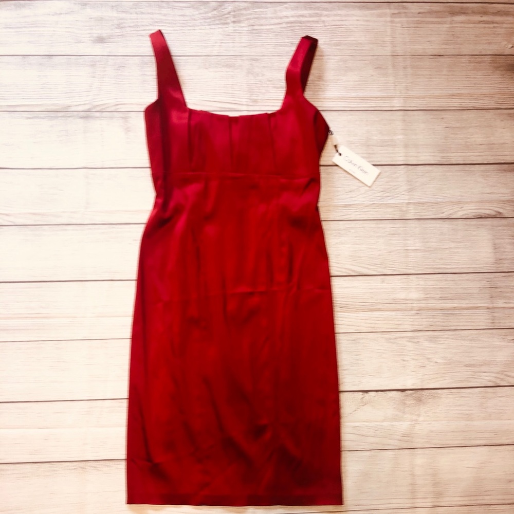 Sexy red dress